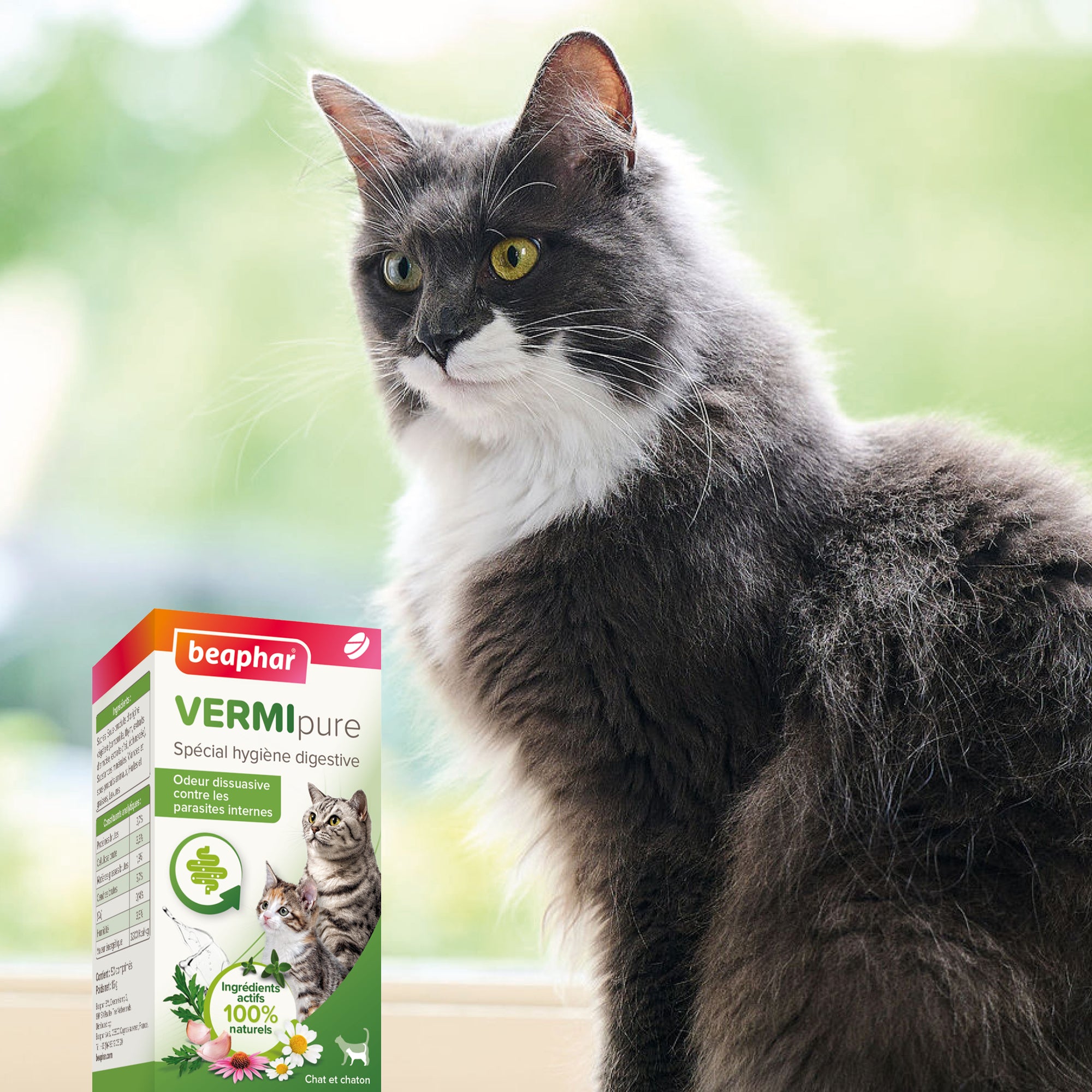Vermipure Comprimés Purge pour chat