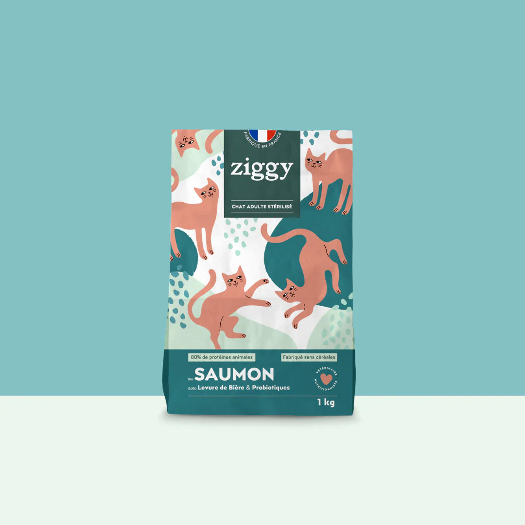 Ziggy Chat Adulte Stérilisé Saumon Croquettes 1kg