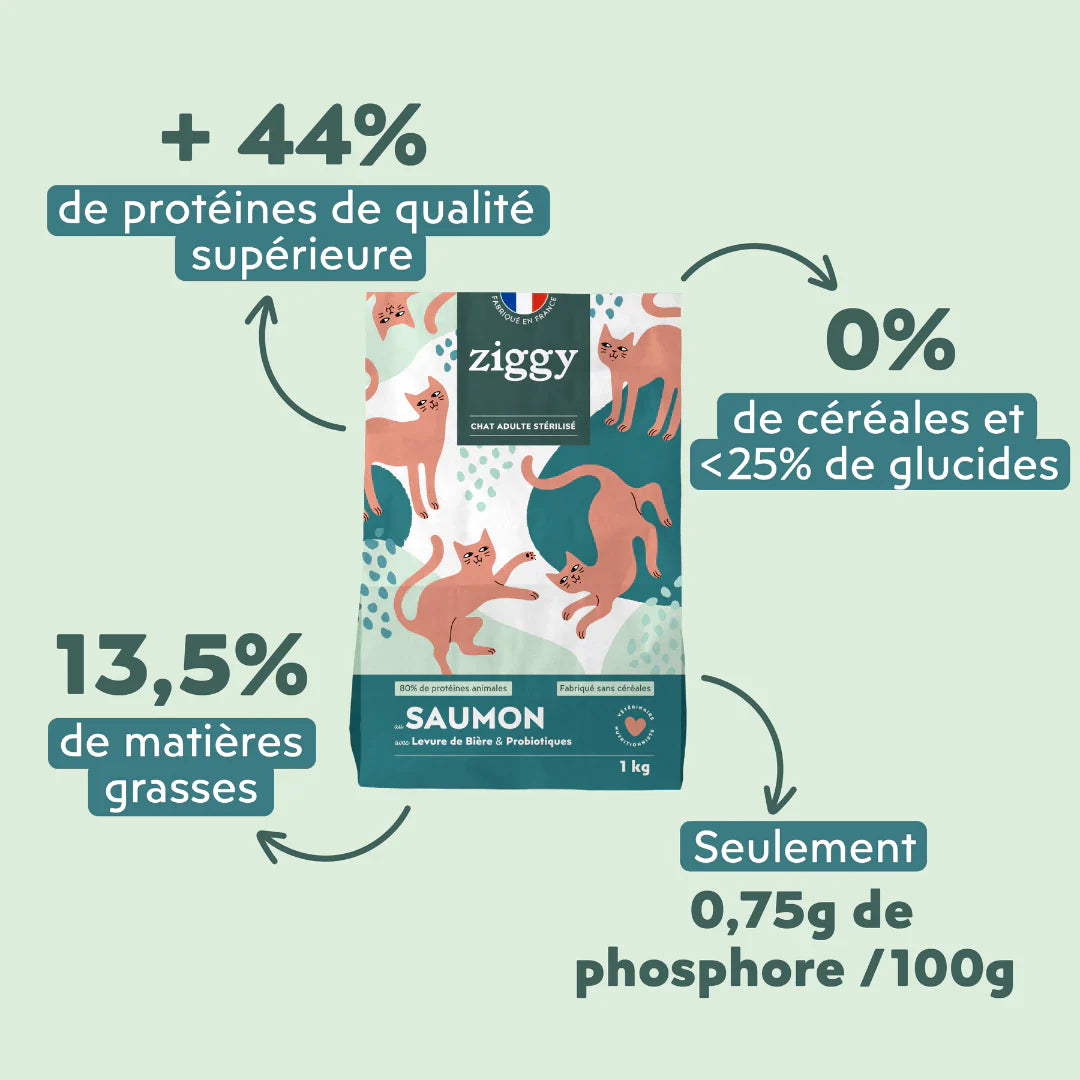 Ziggy Chat Adulte Stérilisé Saumon Croquettes 1kg