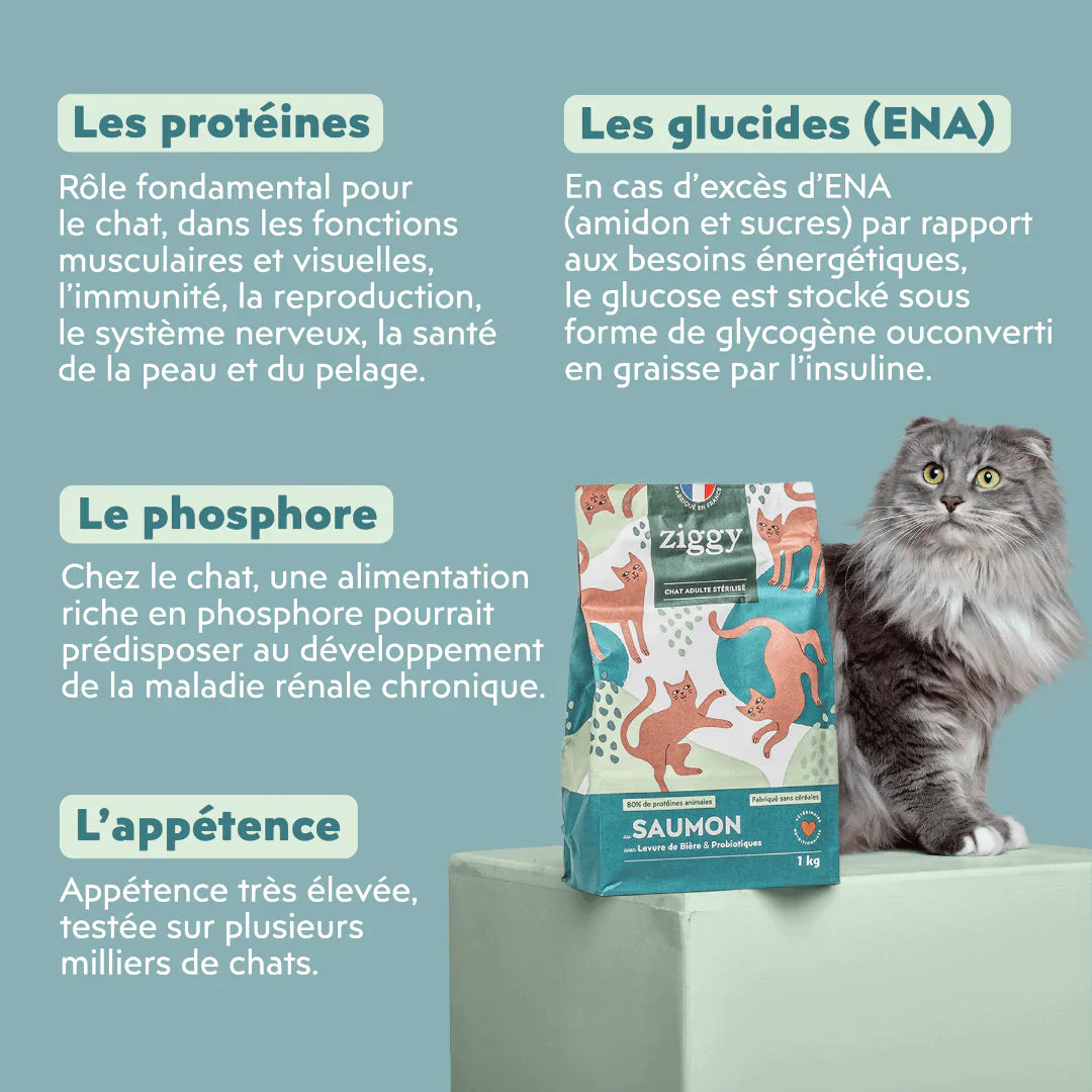 Ziggy Chat Adulte Stérilisé Saumon Croquettes 1kg