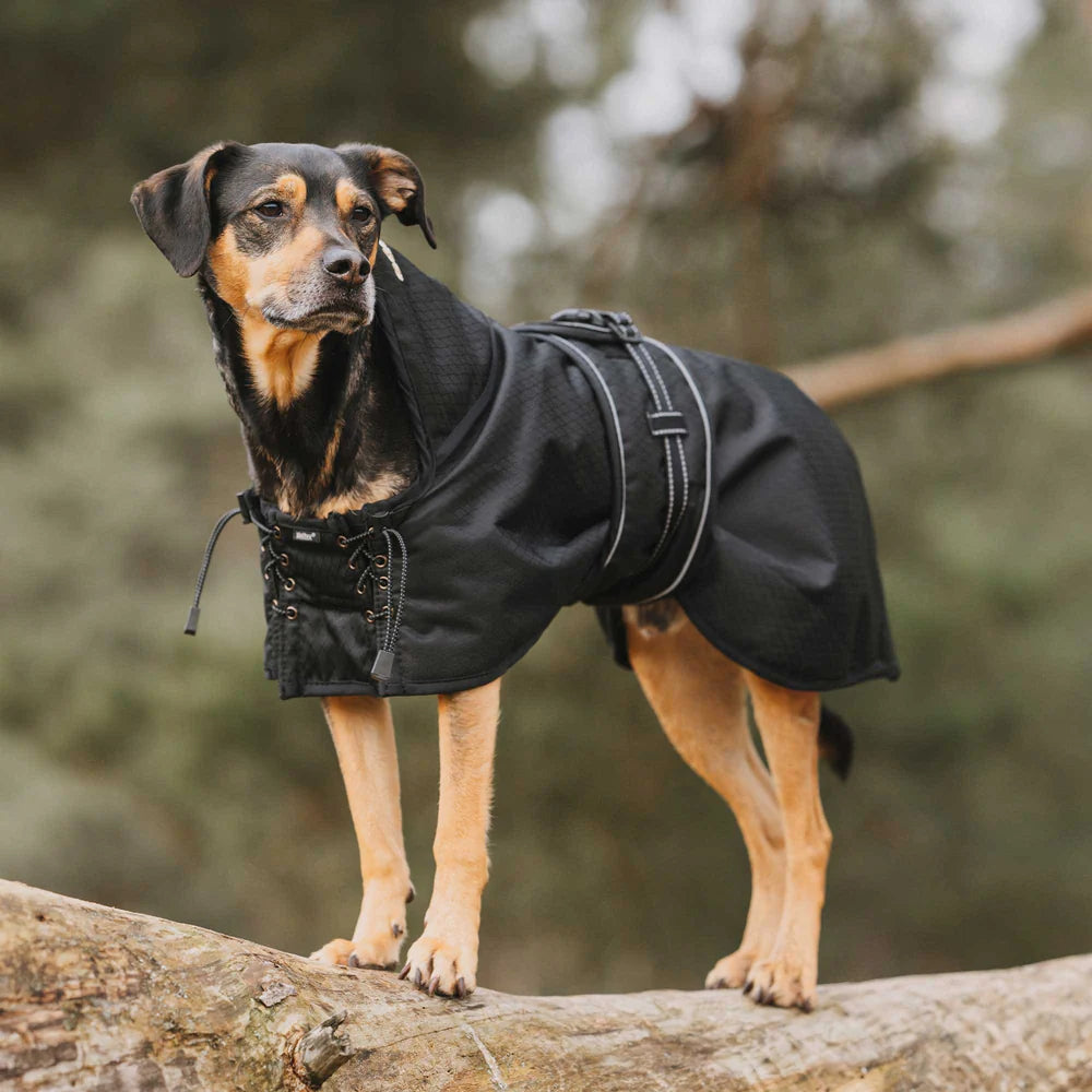 BOT MANTEAU POUR CHIEN