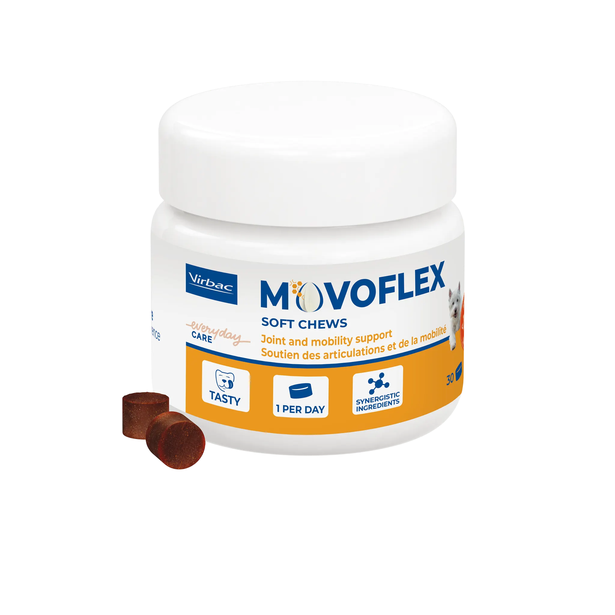 Movoflex chien