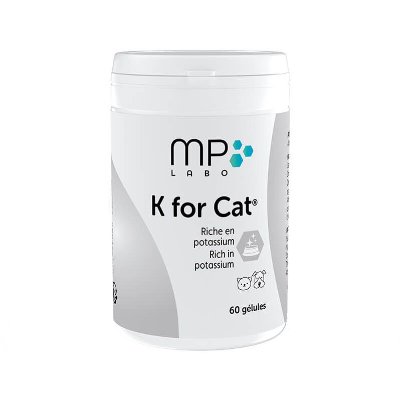 K for Cat