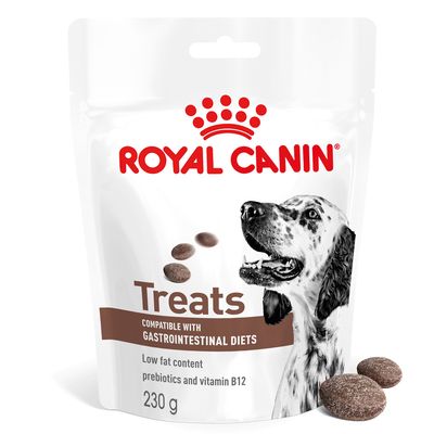 Royal Canin Gastrointestinal Treats chien