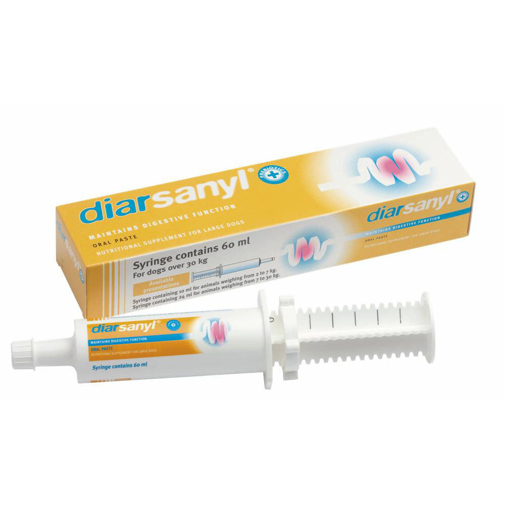 Diarsanyl grand chien