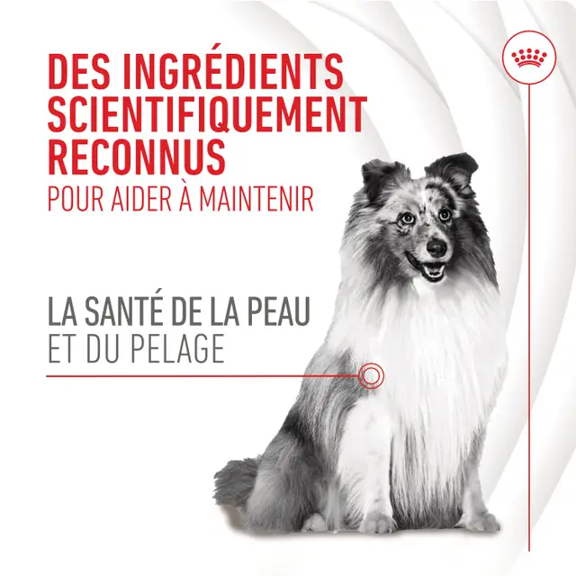 Aliment complémentaire Skin & Coat Chews Adult Dog Supplements chien