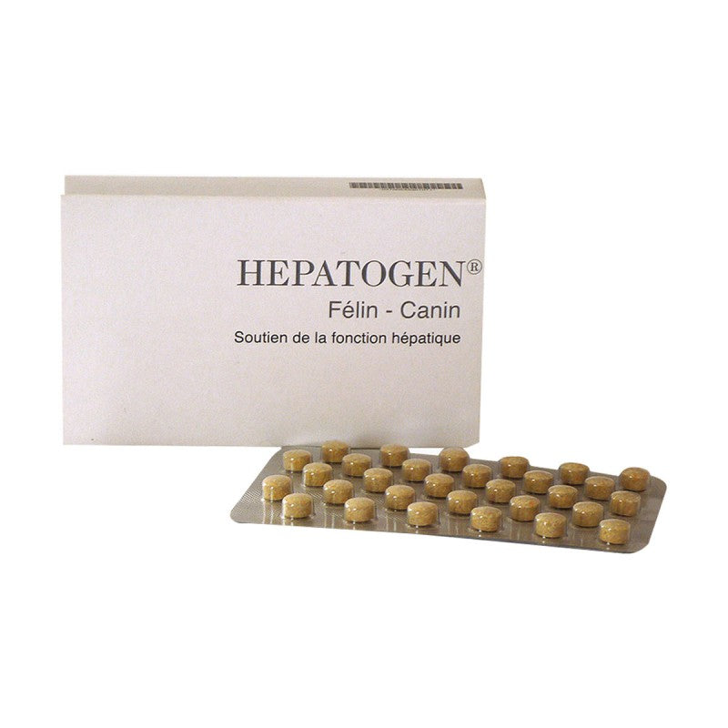 Hépatogen chien, chat
