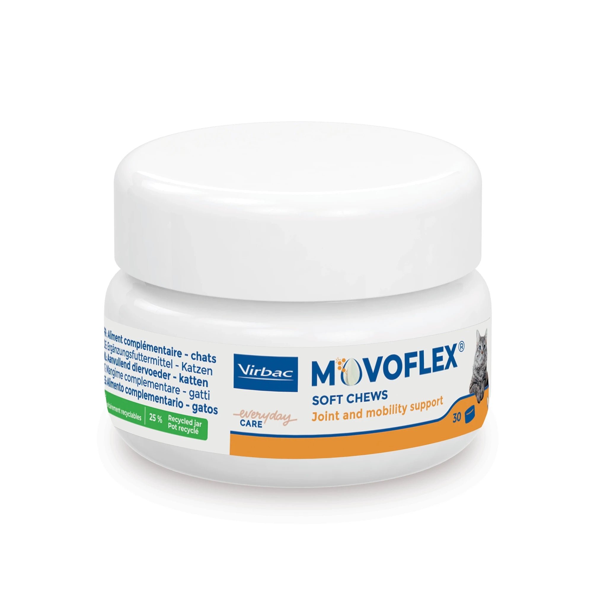 Movoflex Chat