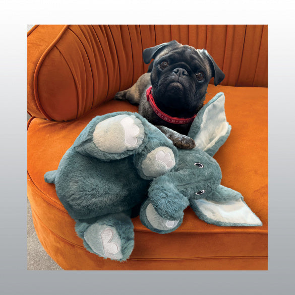 Jouet Comfort Elephant