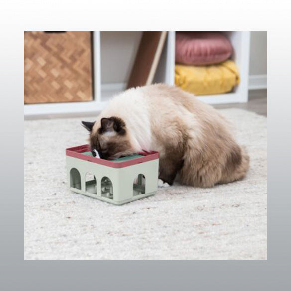 Jeu de stratégie Rod box pour chat