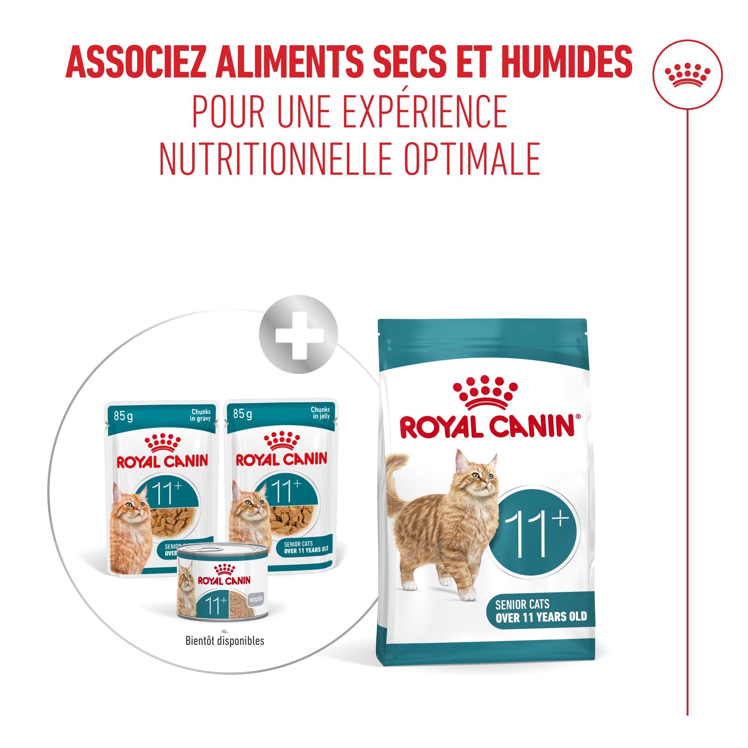 Royal Canin Ageing 11+ - pâtée chat