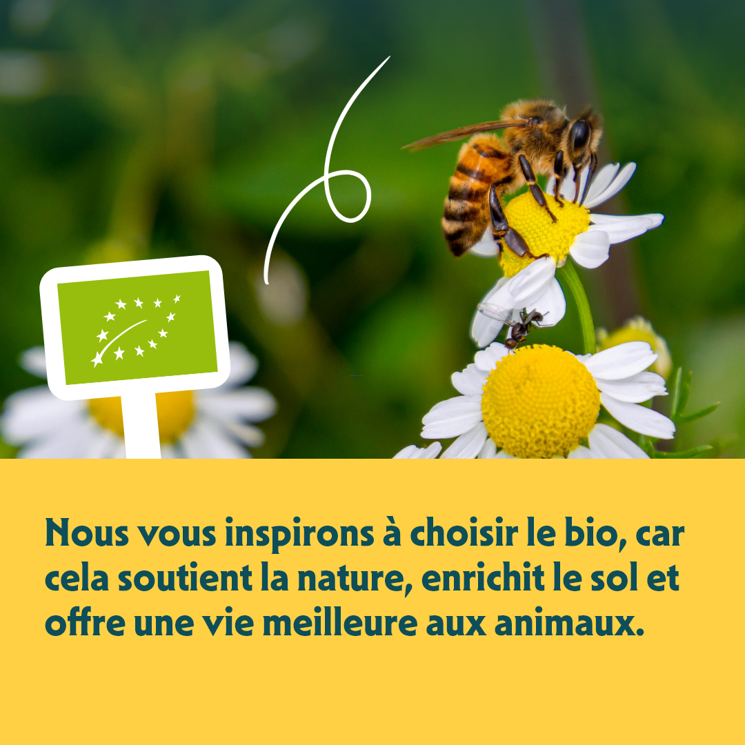 Yarrah bouchées bio sans céréales - pâtée chat