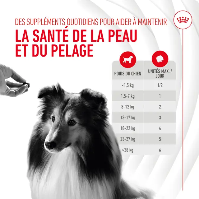 Aliment complémentaire Skin & Coat Chews Adult Dog Supplements chien
