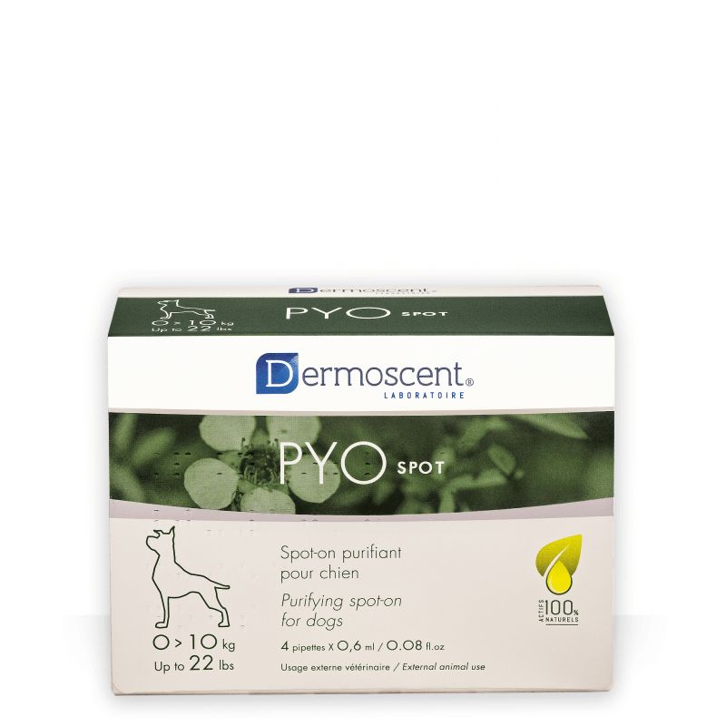 Dermoscent Pyospot chien