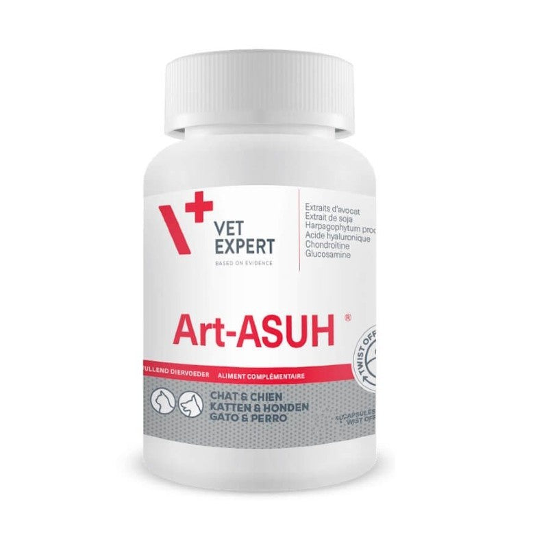 Art Asuh S