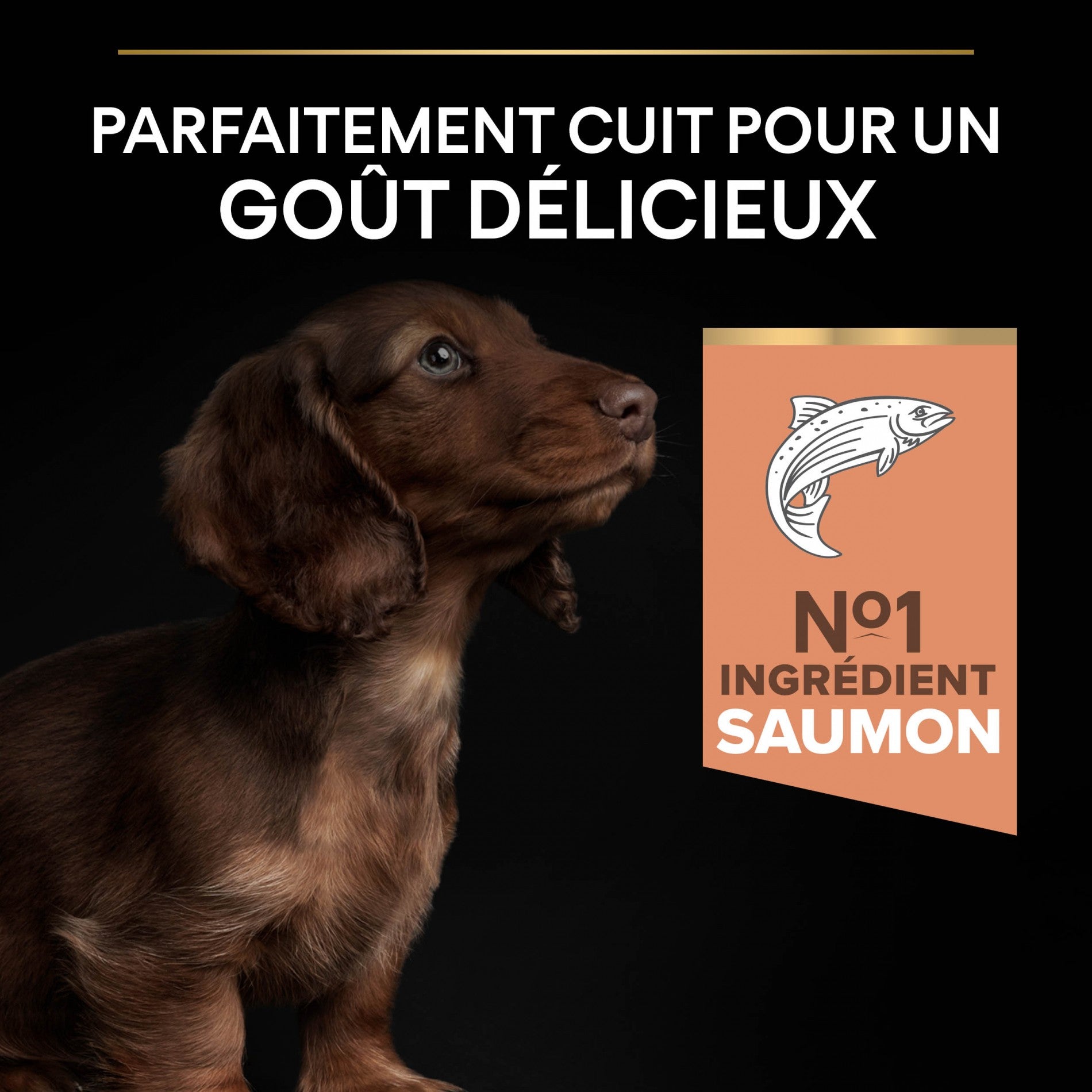 Pro Plan Sensitive Skin Small & Mini Puppy au saumon - croquettes chiot