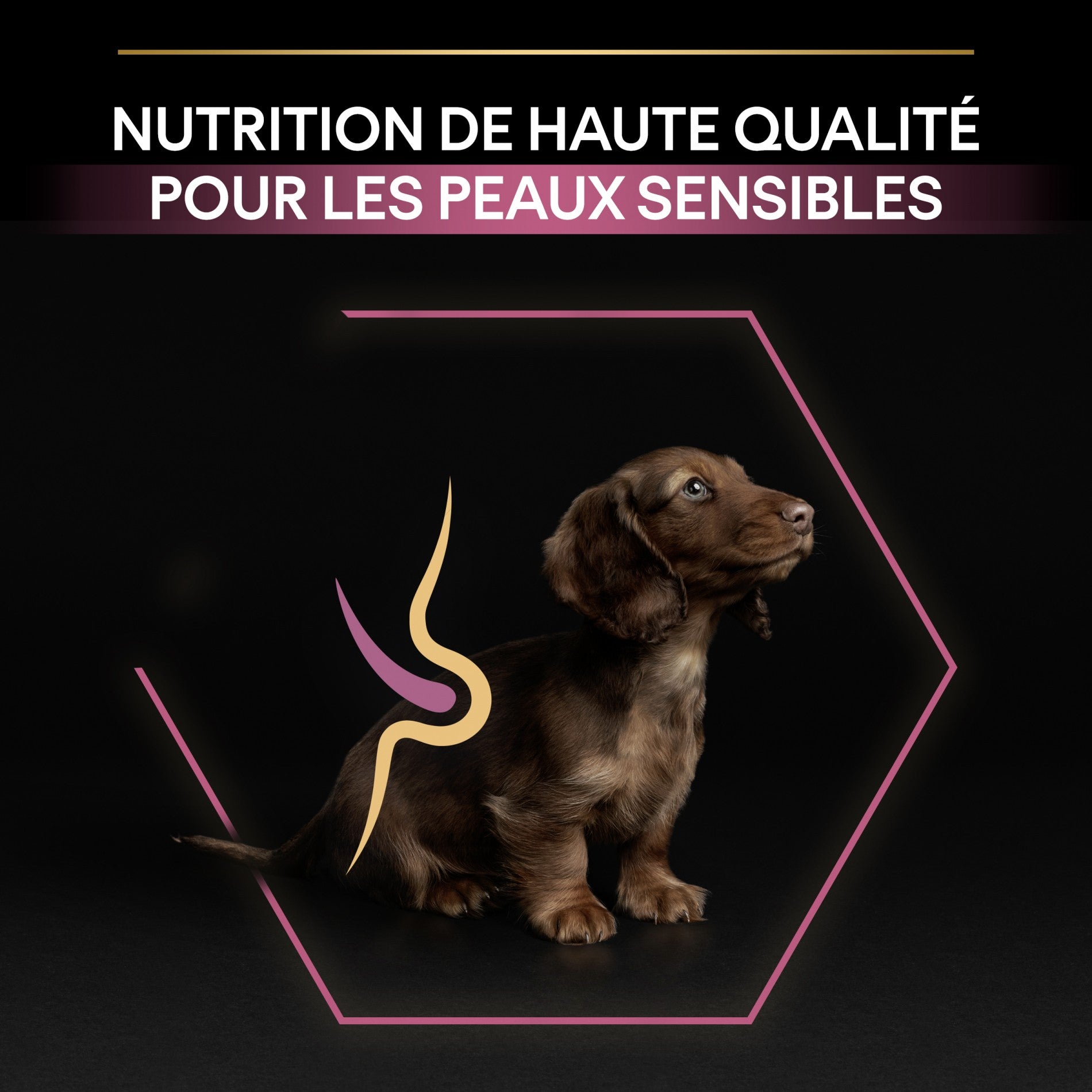 Pro Plan Sensitive Skin Small & Mini Puppy au saumon - croquettes chiot
