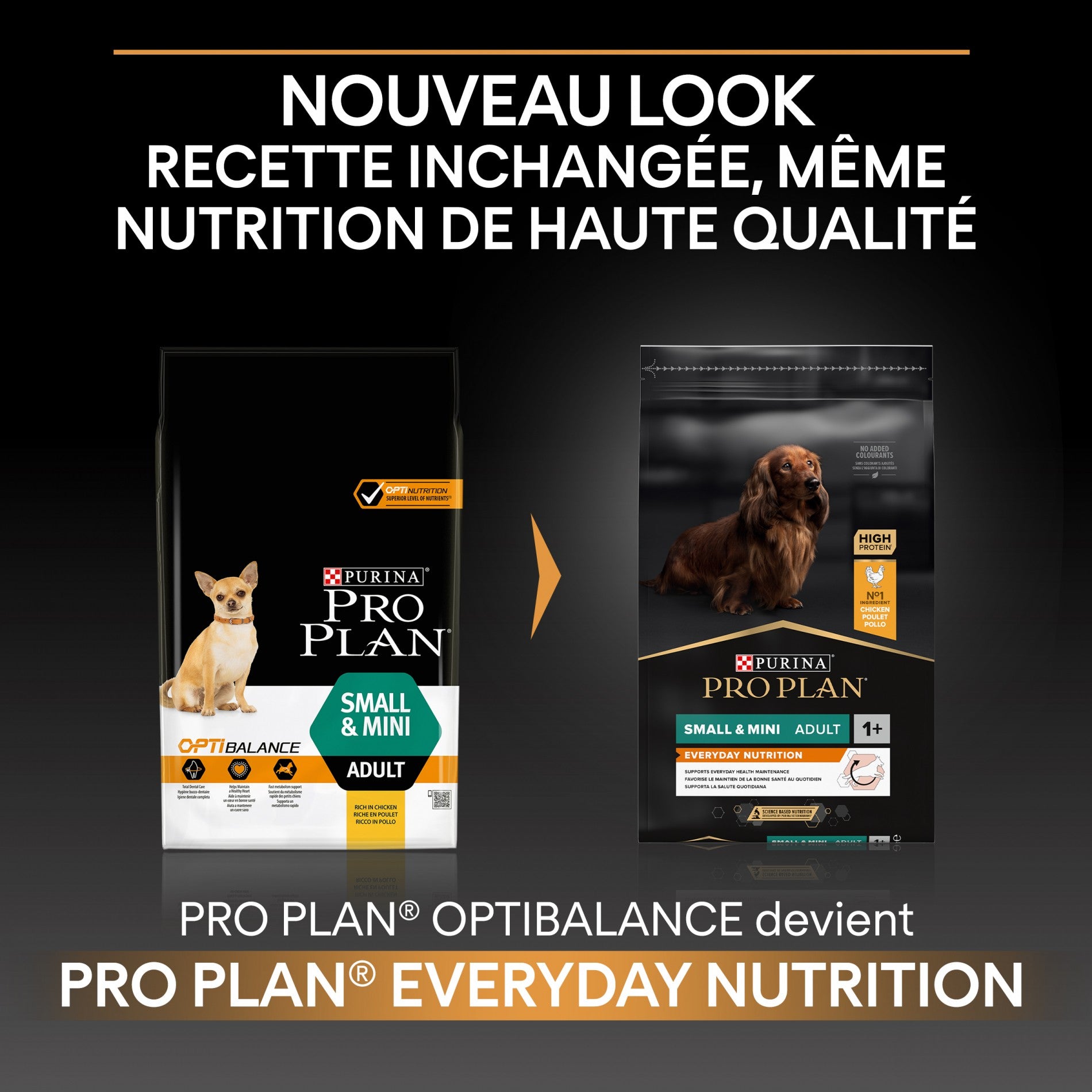Pro Plan Everyday Nutrition Small & Mini Adult au poulet - croquettes chien