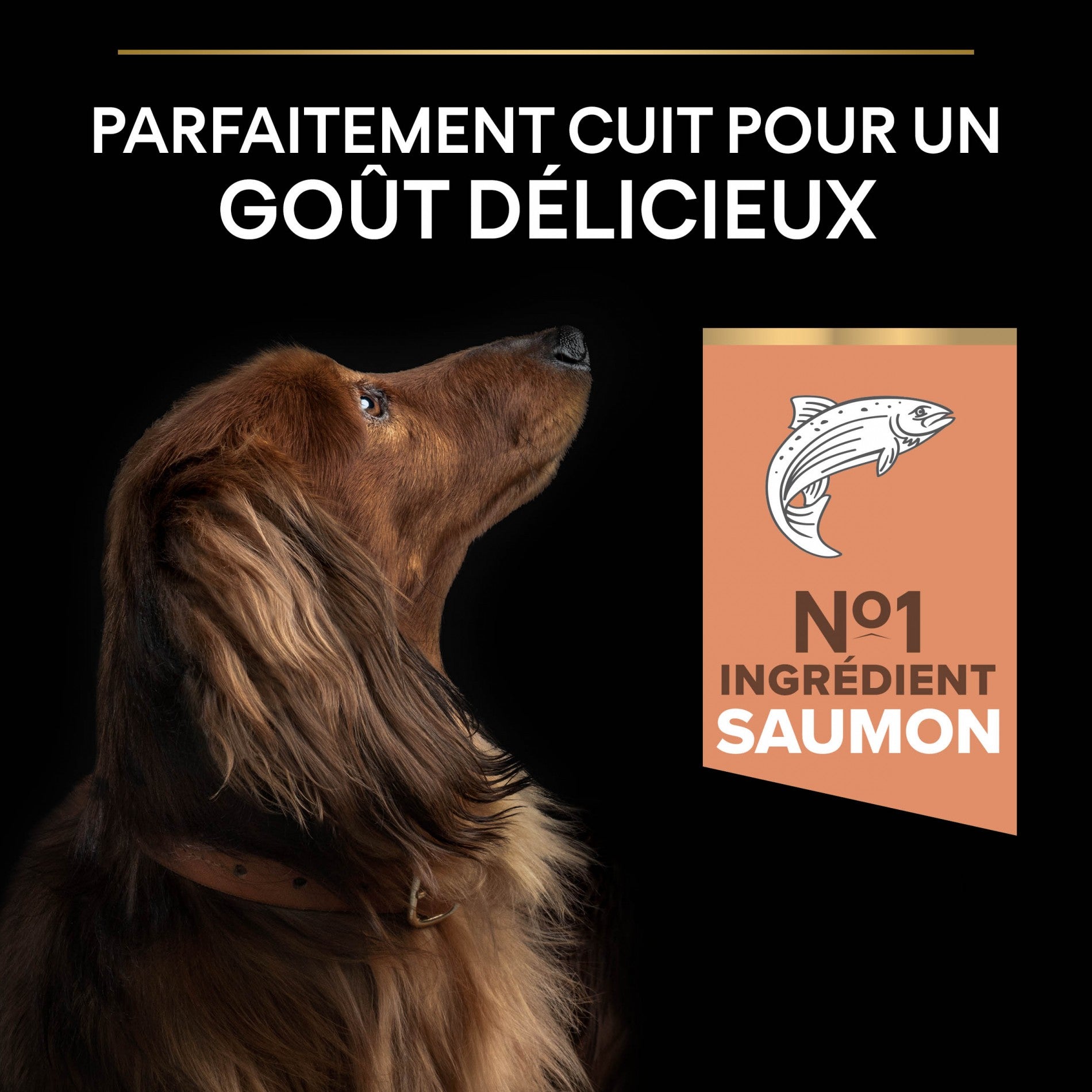 Pro Plan Sensitive Skin Small & Mini Adult au saumon - croquettes chien