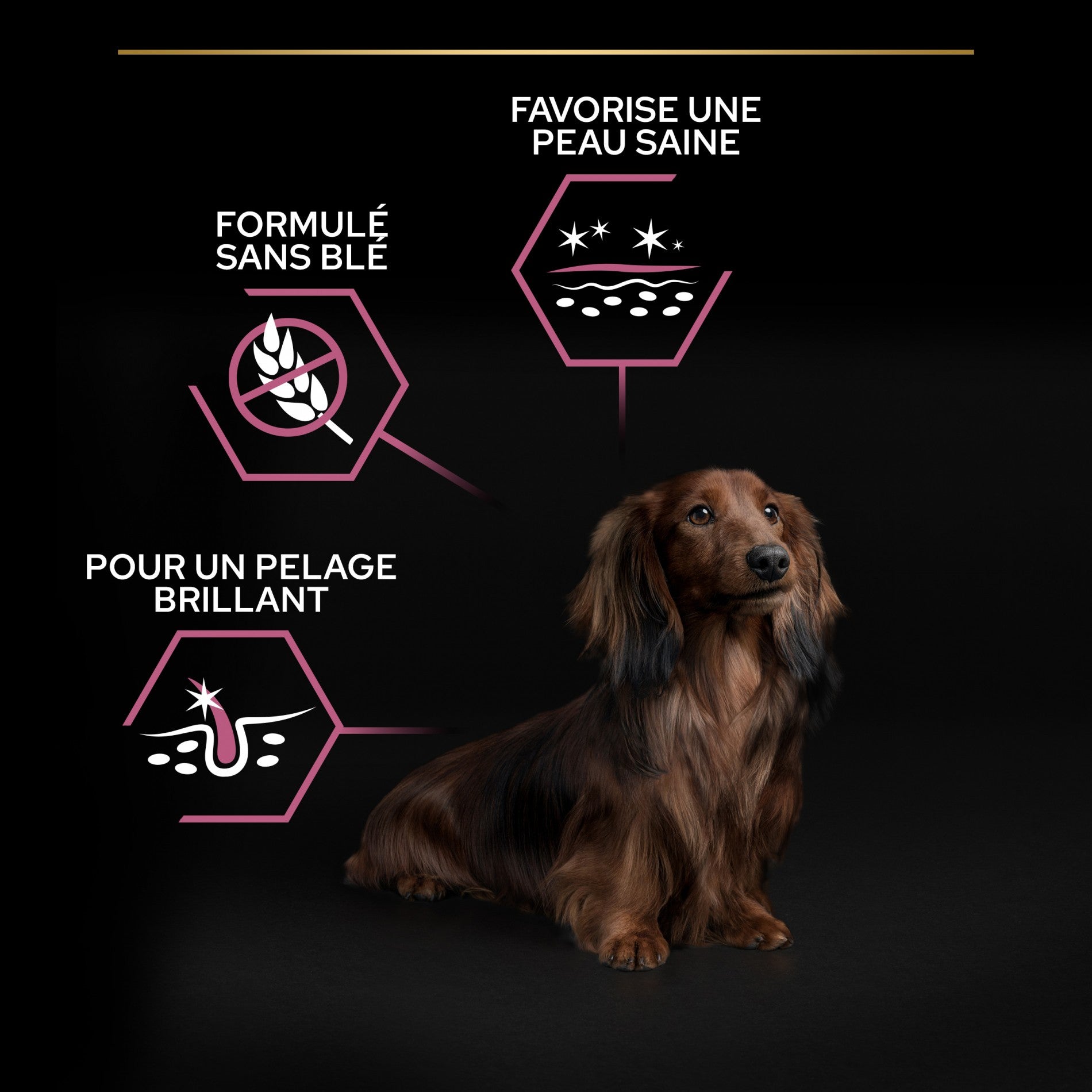 Pro Plan Sensitive Skin Small & Mini Adult au saumon - croquettes chien