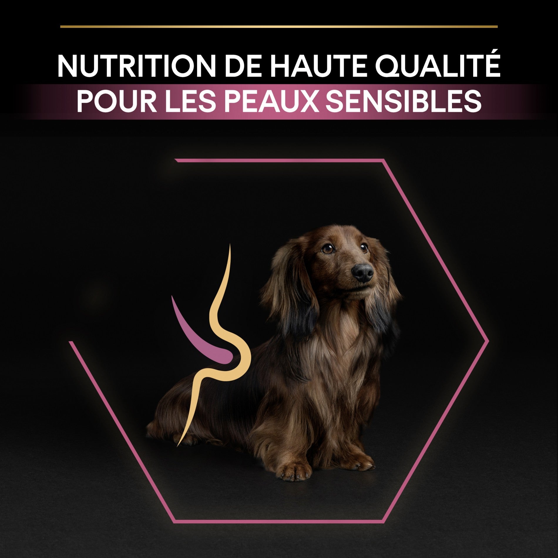 Pro Plan Sensitive Skin Small & Mini Adult au saumon - croquettes chien