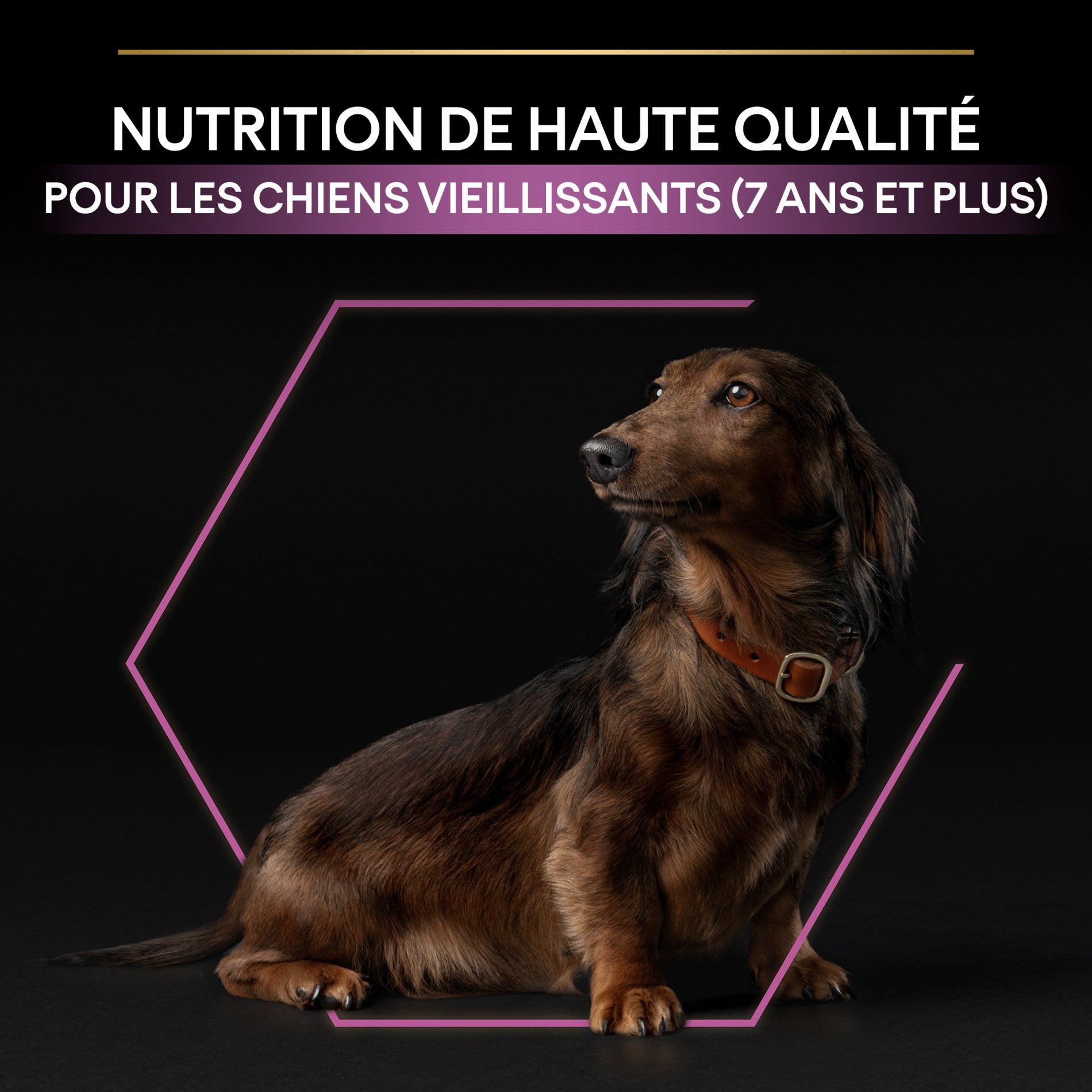 Pro Plan Age Defence Small & Mini Adult au poulet - croquettes chien