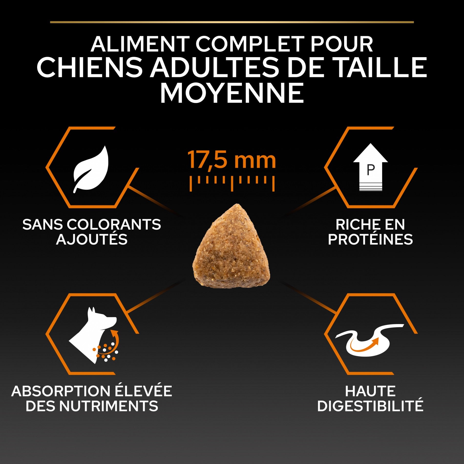 Pro Plan Everyday Nutrition Medium Adult au poulet - croquettes chien