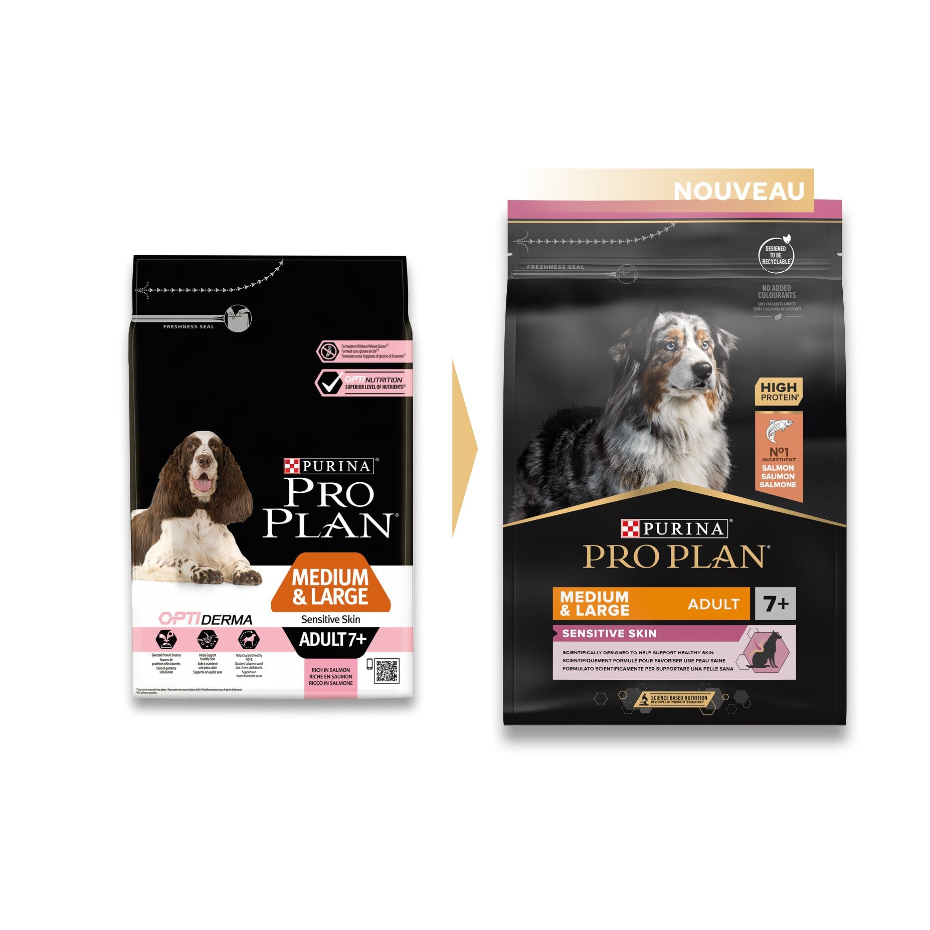 Pro Plan Sensitive Skin Medium & Large Adult au saumon - croquettes chien