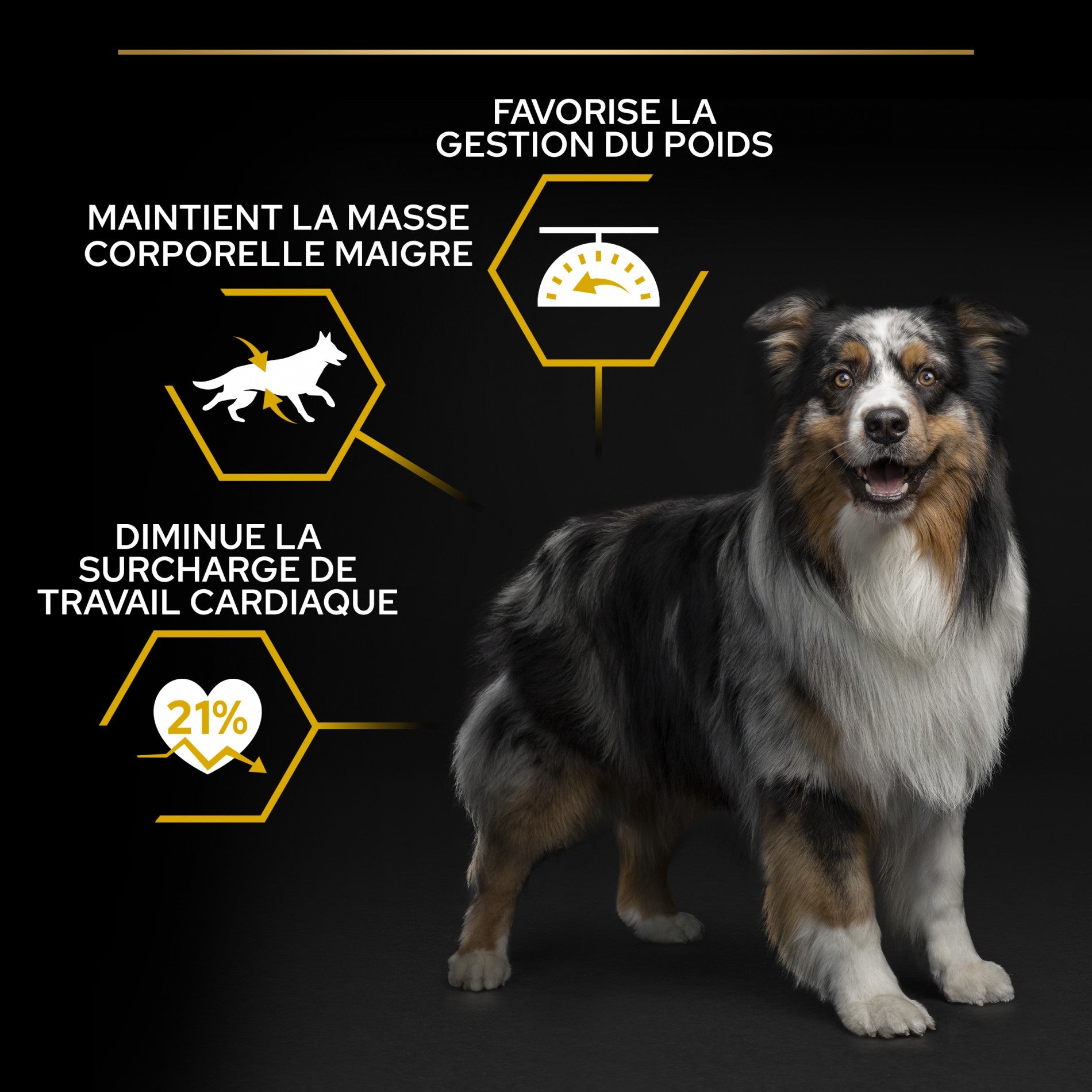 Pro Plan Light/Sterilised All Sizes Adult au poulet - croquettes chien