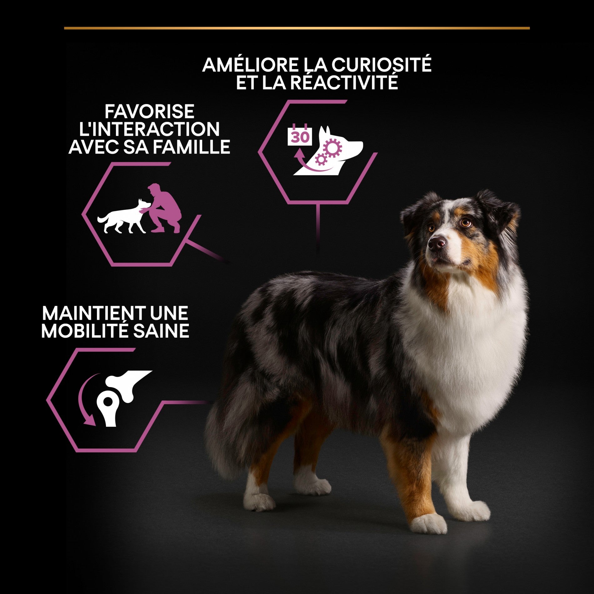 Pro Plan Age Defence Medium & Large Adult au poulet - croquettes chien