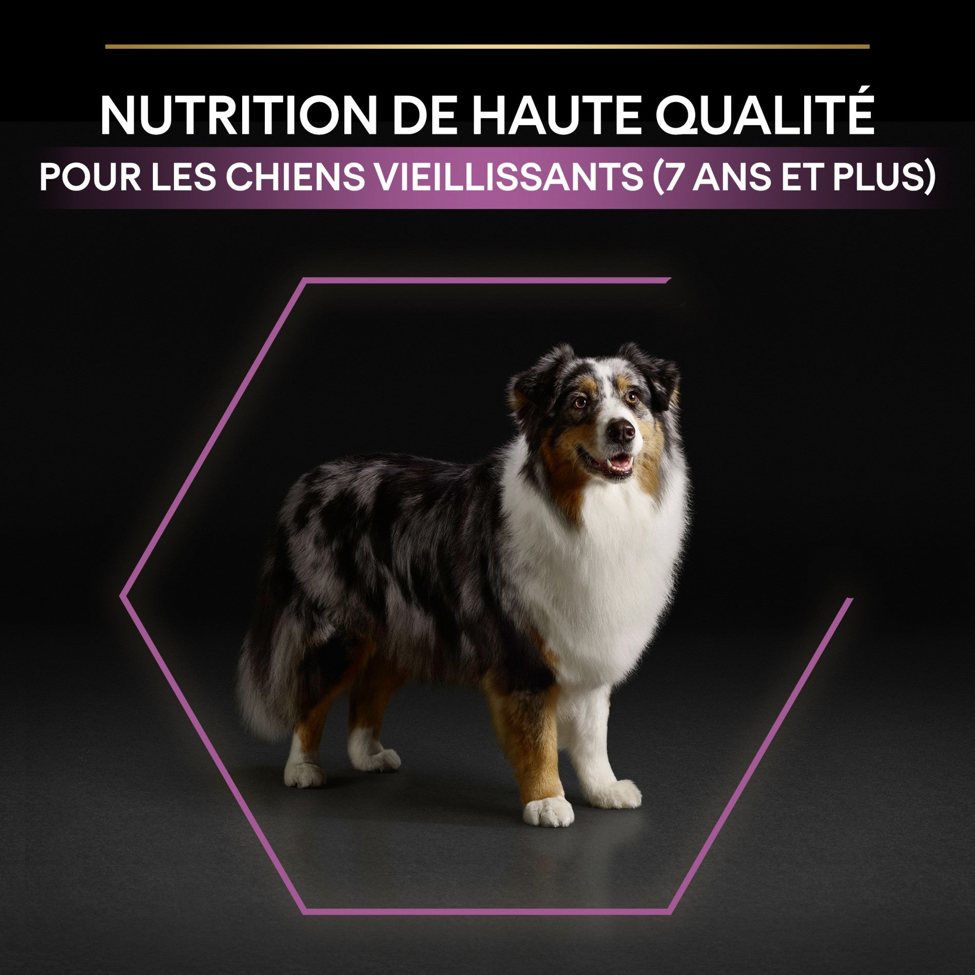 Pro Plan Age Defence Medium & Large Adult au poulet - croquettes chien