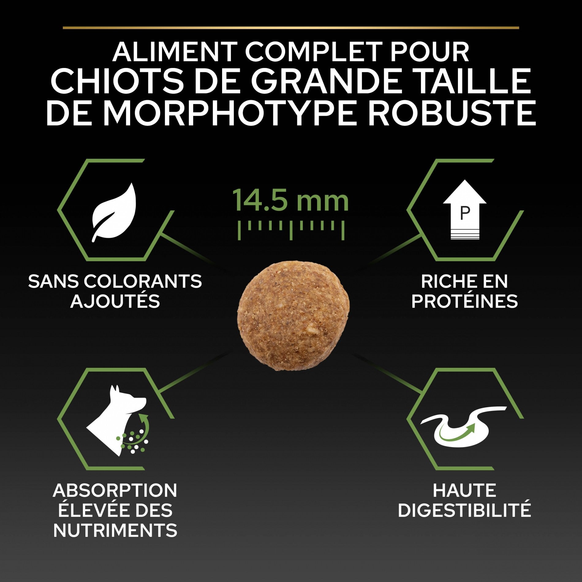 Pro Plan Healthy Start Large Robust Puppy au poulet - croquettes chiot