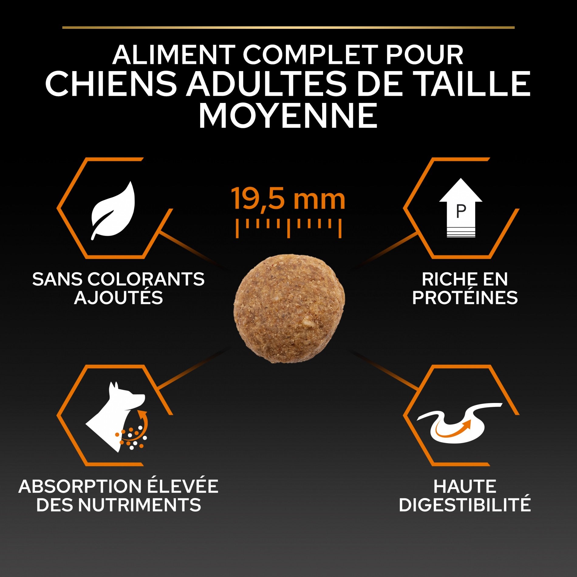 Pro Plan Everyday Nutrition Large Robust Adult au poulet - croquettes chien