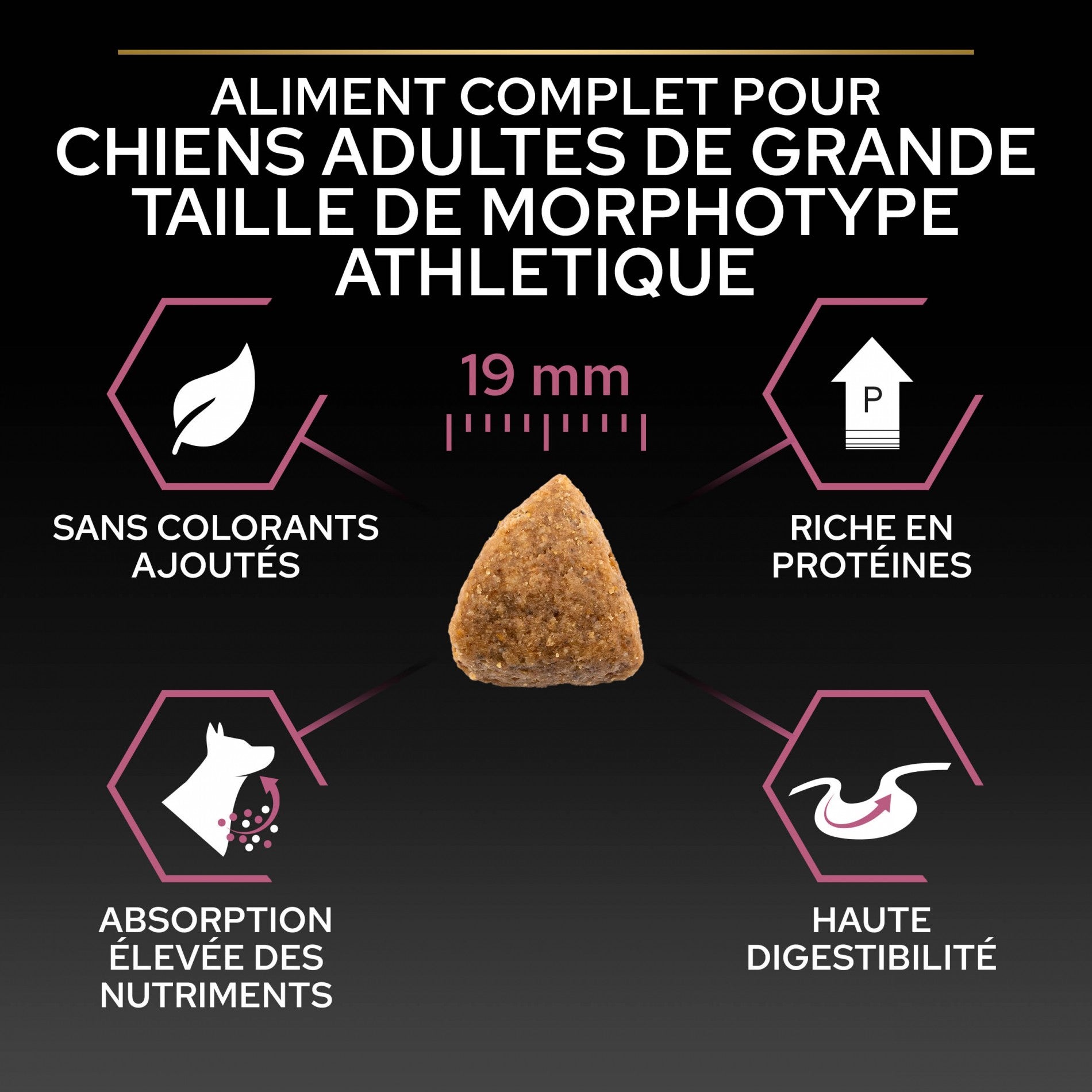 Pro Plan Sensitive Skin Large Athletic Adult au saumon - croquettes chien