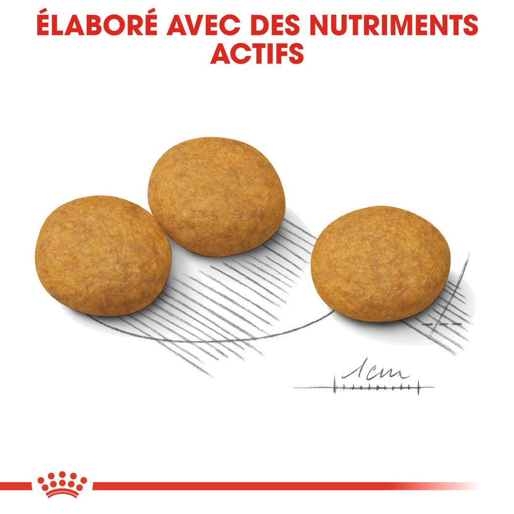 Royal Canin Medium Dermaconfort