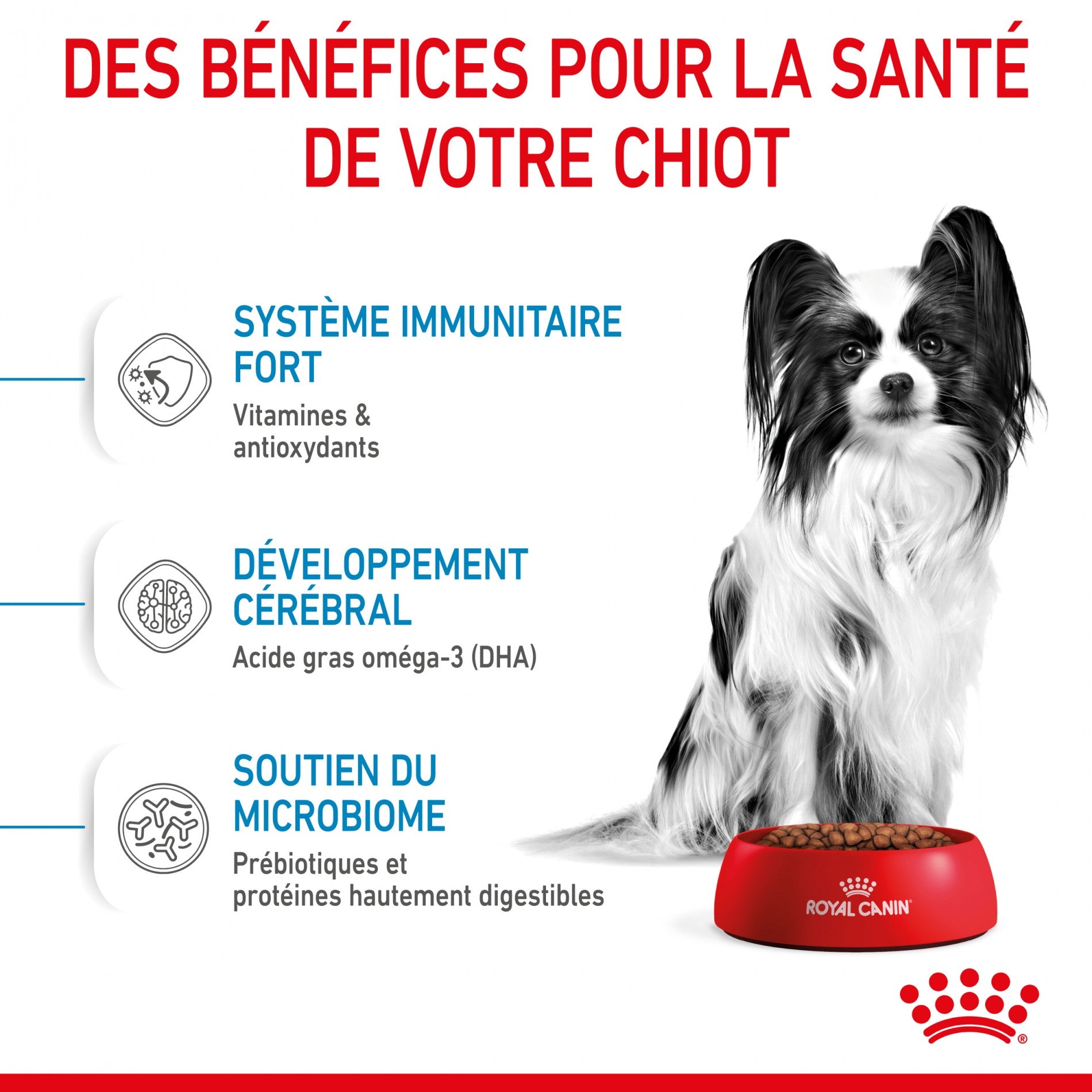 Royal Canin X-Small Puppy - croquettes chiot