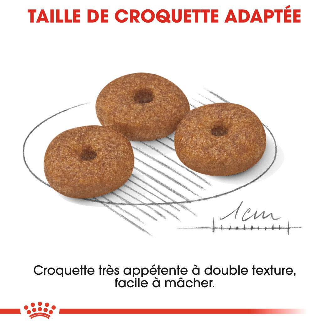Royal Canin Mini Ageing 12+ - croquettes chien