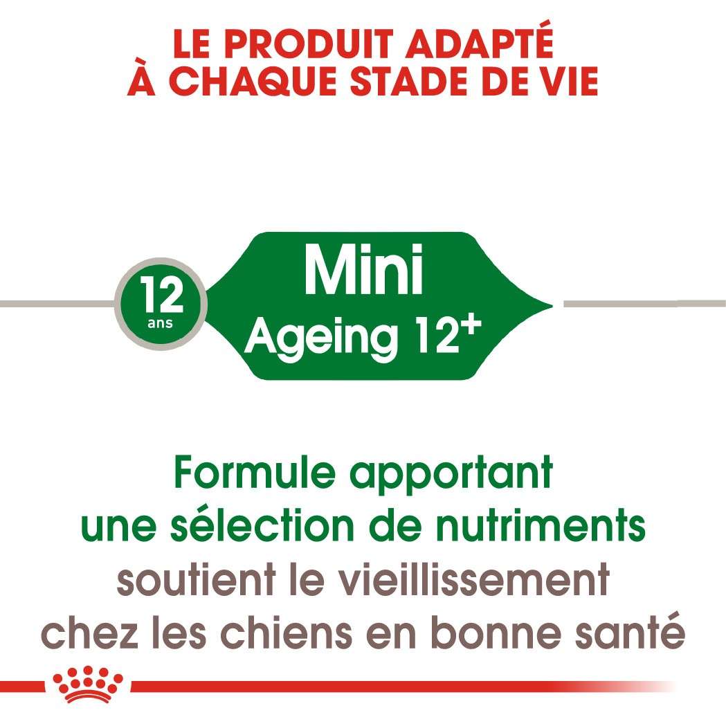 Royal Canin Mini Ageing 12+ - croquettes chien