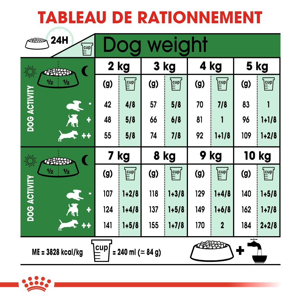 Royal Canin Mini Ageing 12+ - croquettes chien