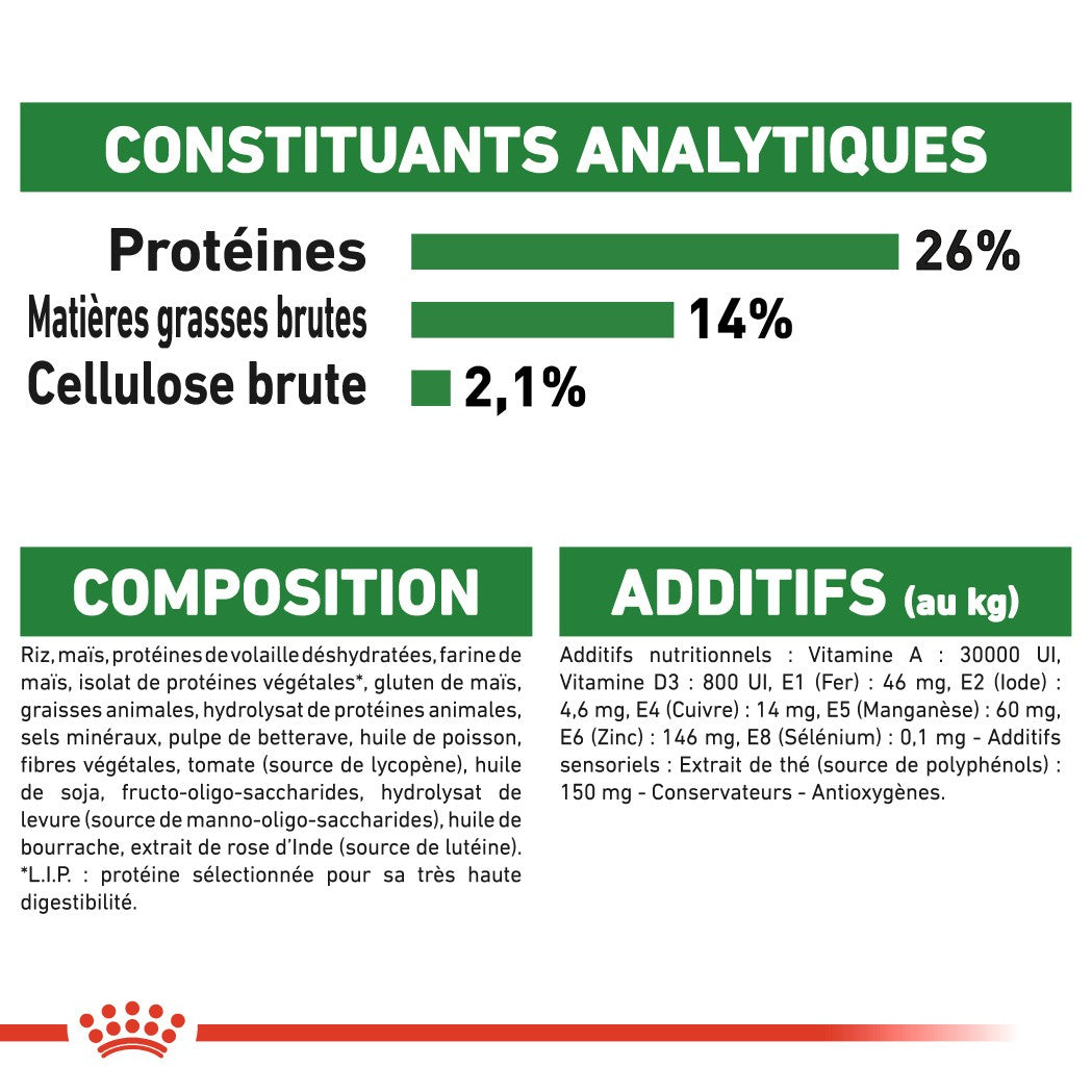 Royal Canin Mini Ageing 12+ - croquettes chien