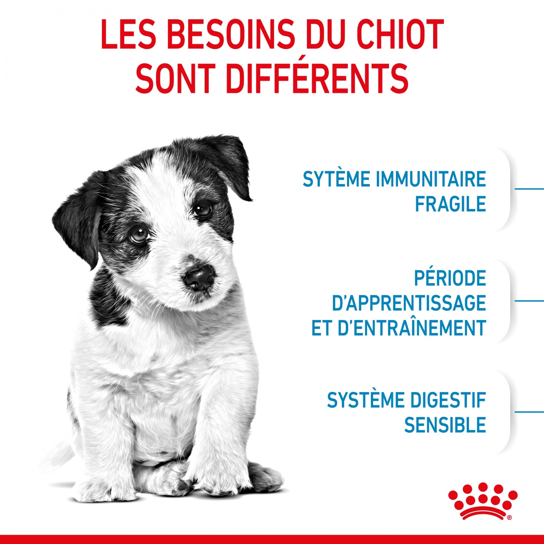 Royal Canin Mini Puppy - croquettes chiot