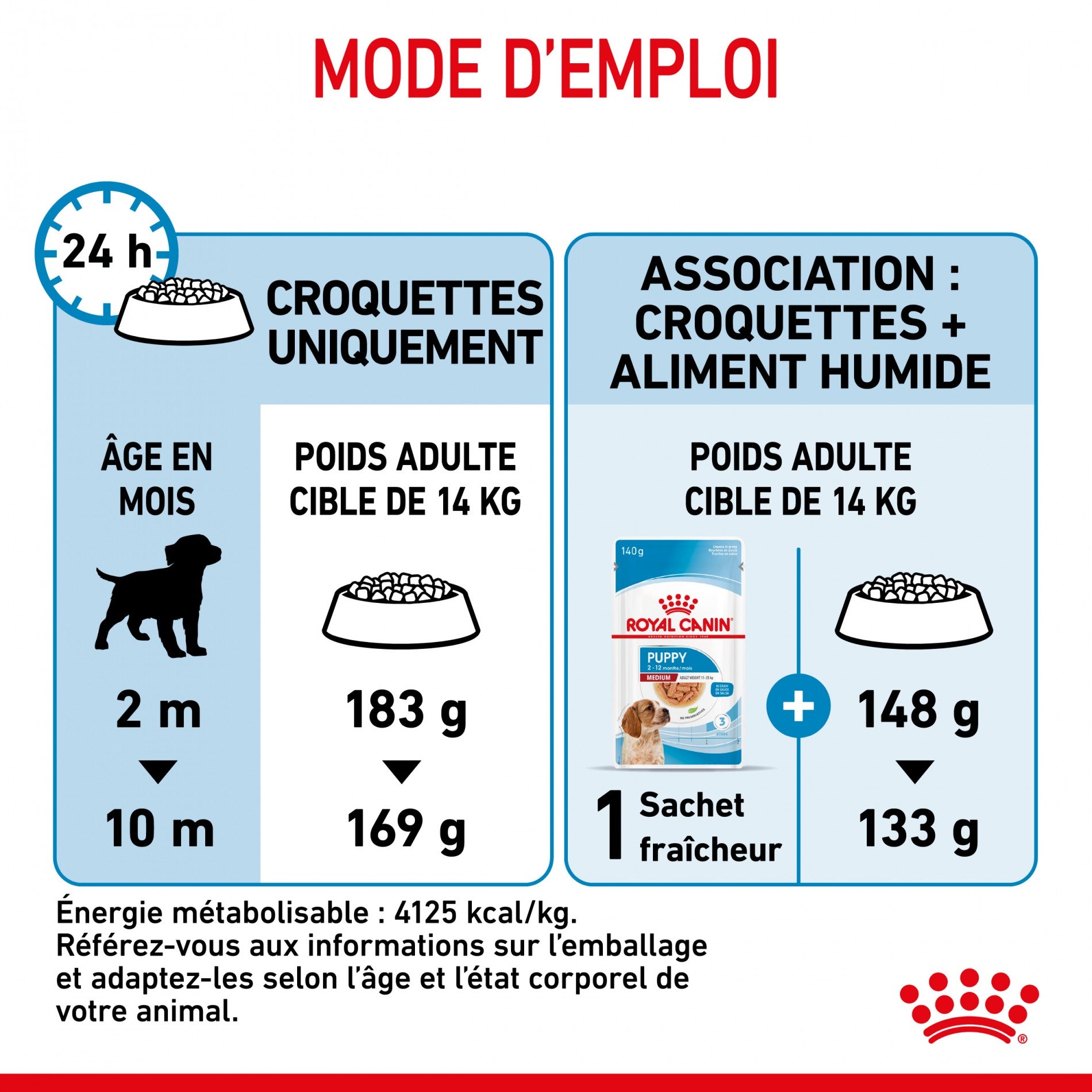Royal Canin Medium Puppy - croquettes chiot