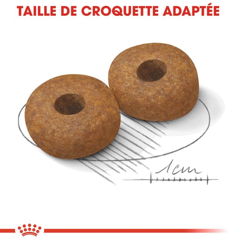 Royal Canin Medium Ageing 10+ - croquettes chien