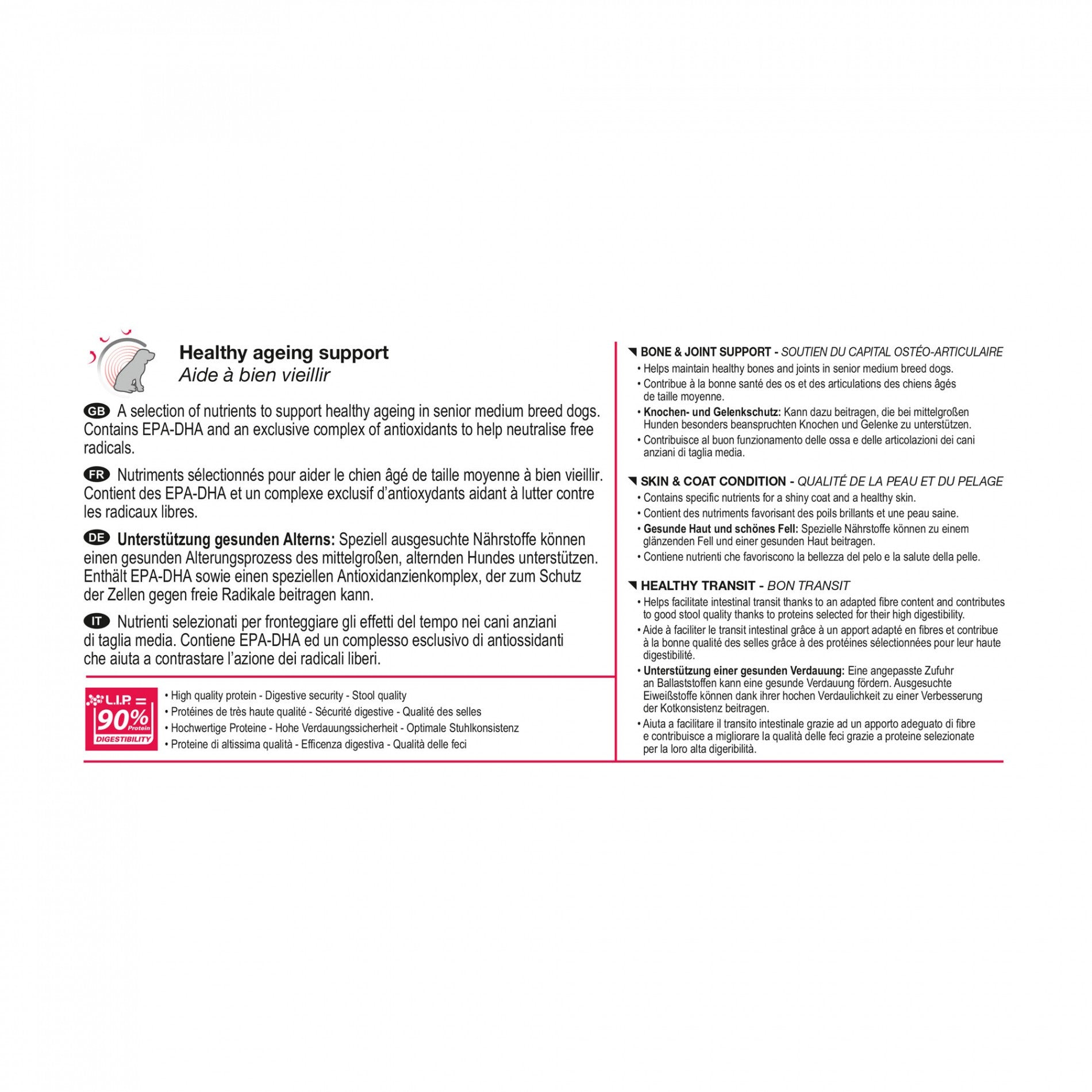 Royal Canin Medium Ageing 10+ - croquettes chien