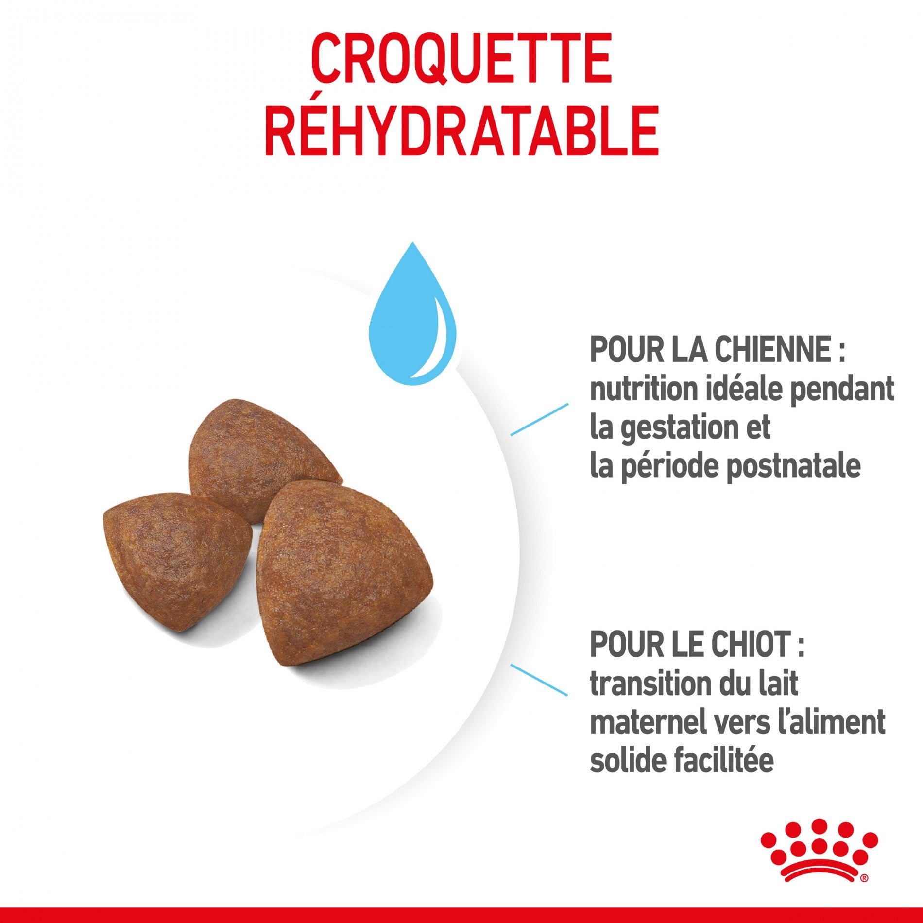 Royal Canin Medium Starter