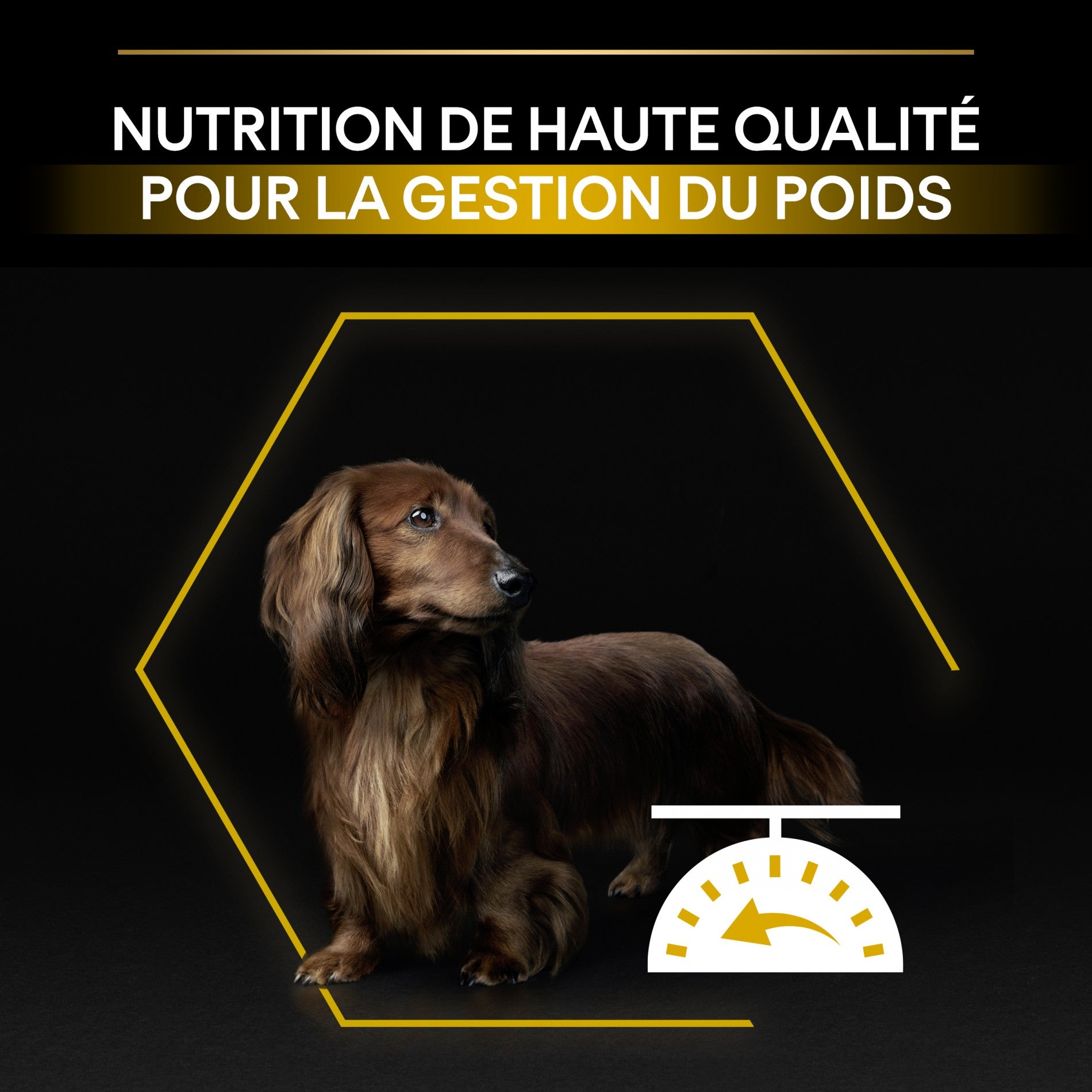 Pro Plan Light/Sterilised Small & Mini Adult au poulet - croquettes chien