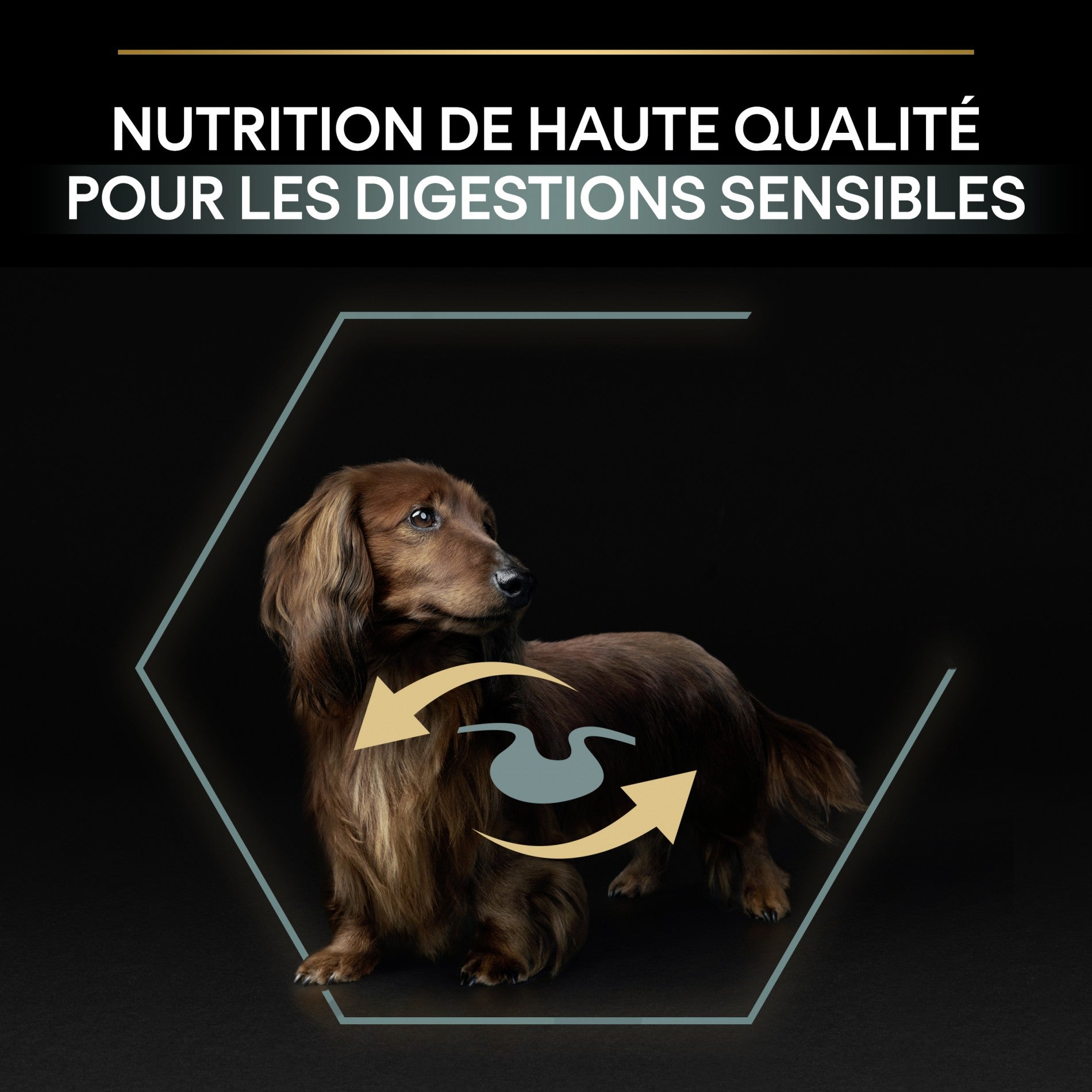 Pro Plan Sensitive Digestion Small & Mini Adult à l&