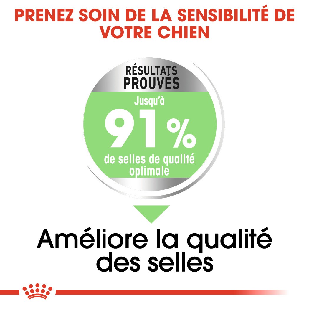 Royal Canin Medium Digestive Care - Croquettes pour chien