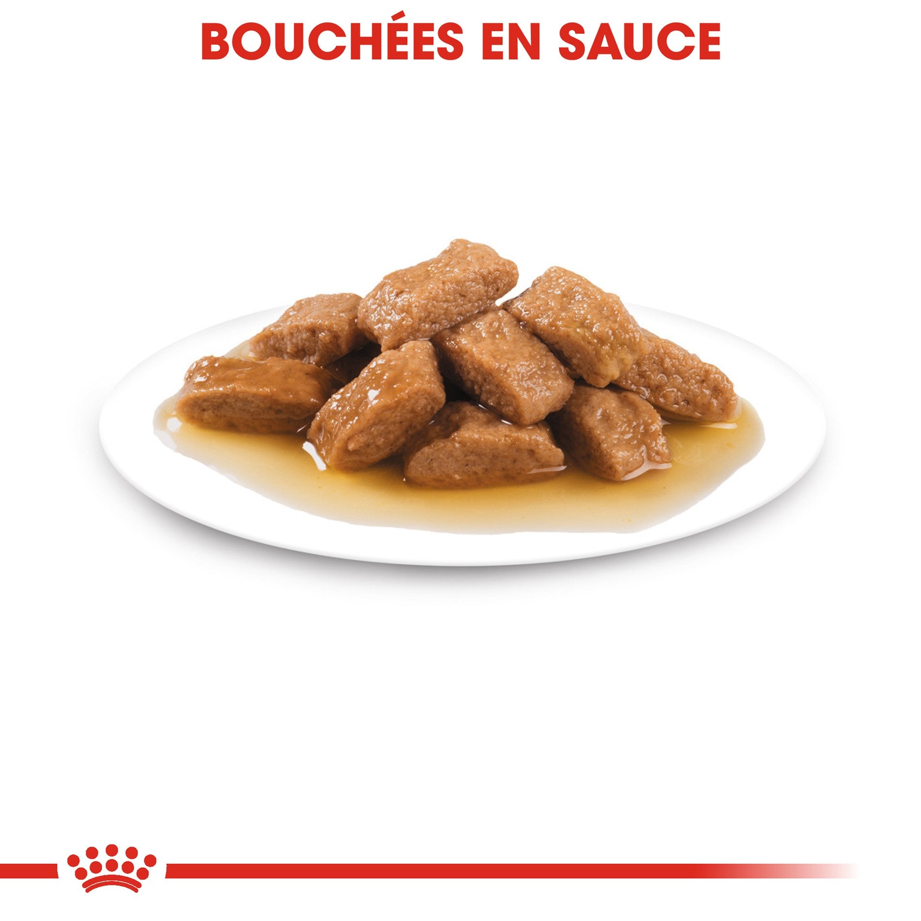 Royal Canin Medium Ageing 10+ en sauce - pâtée chien