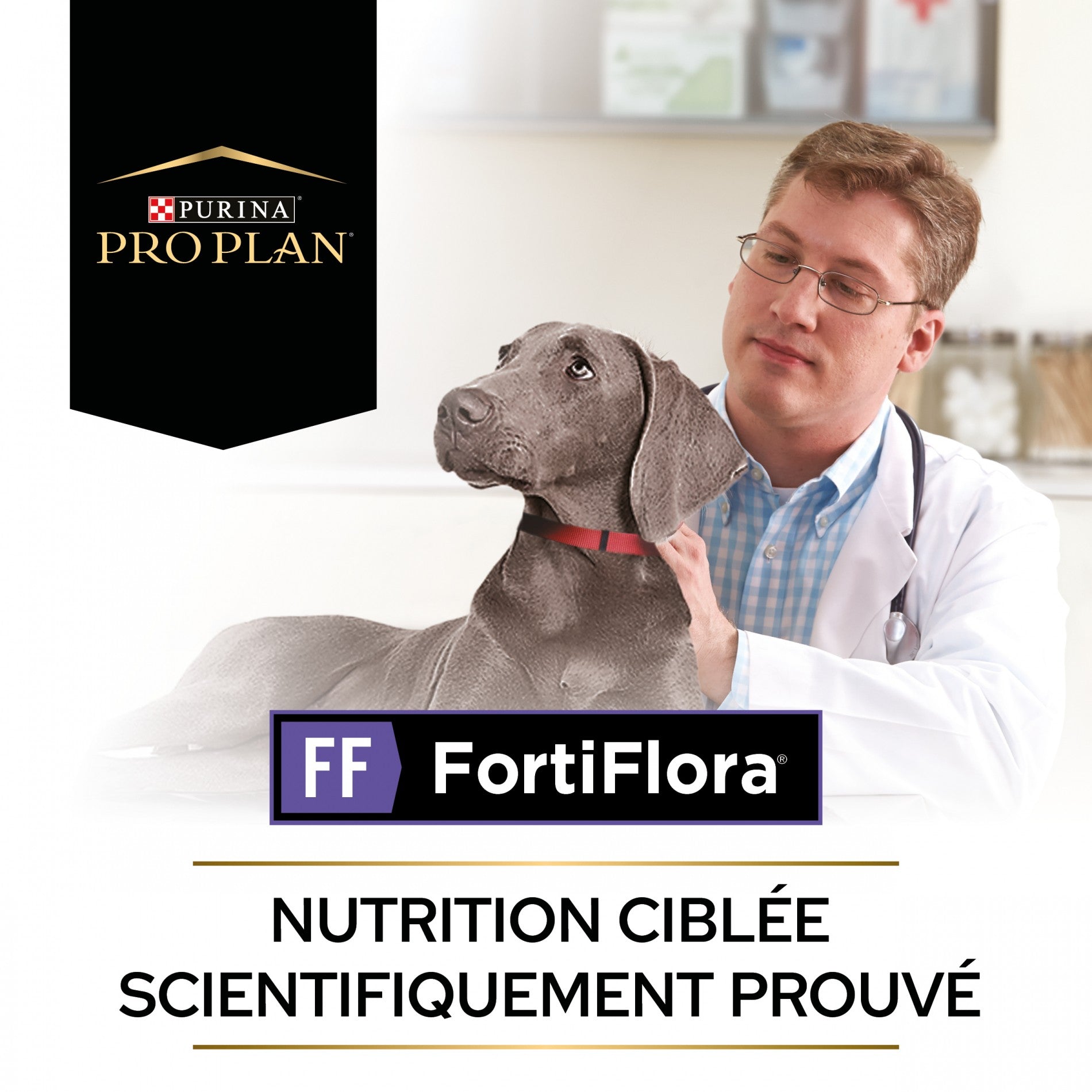 Pro Plan FortiFlora en bouchées - probiotiques chien-Réapprovisionnement laboratoire fin juillet